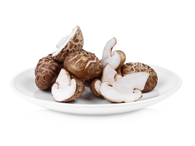 Champignons shiitake frais sur fond blanc