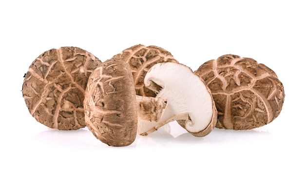 Champignons shiitake isolés sur blanc