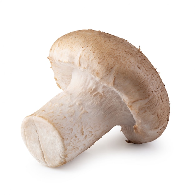 Champignons shiitake isolés sur fond blanc