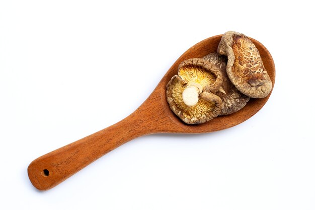 Champignons shiitake séchés sur cuillère en bois.