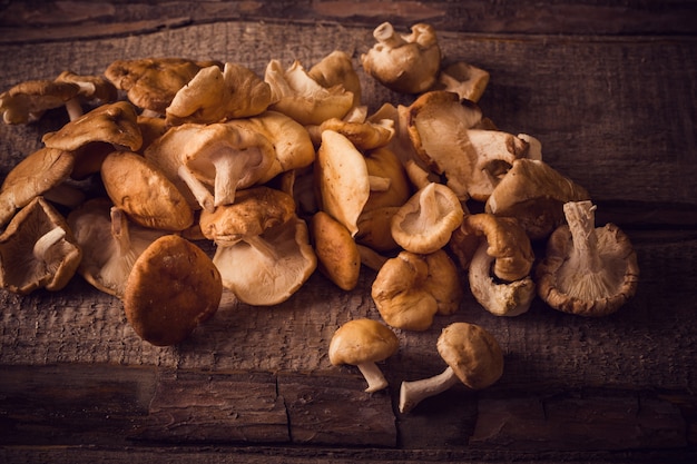 Champignons shiitake