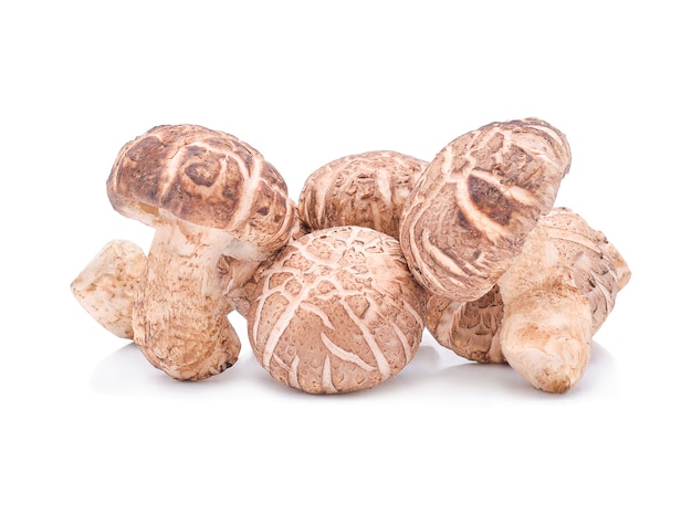 Champignons shiitake