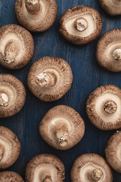 Champignons shiitake