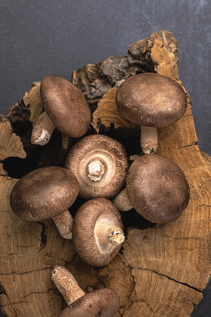 Champignons shiitake