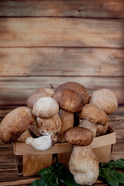 Champignons sur surface en bois