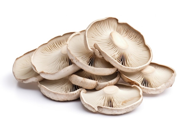 Champignons tranchés sur fond blanc