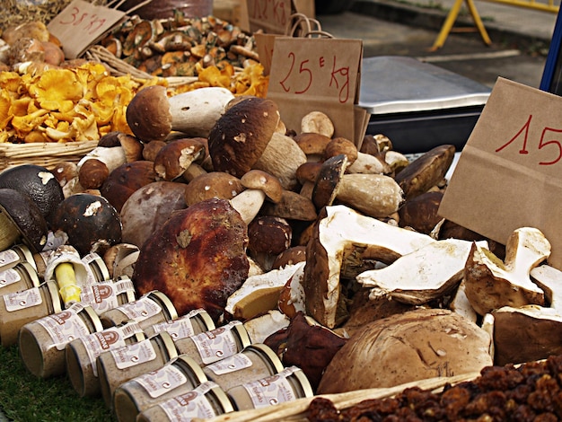 Champignons à vendre