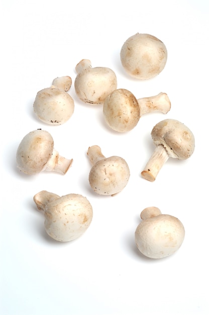 Champignons