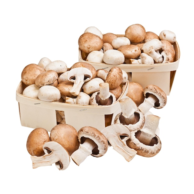 Champignons