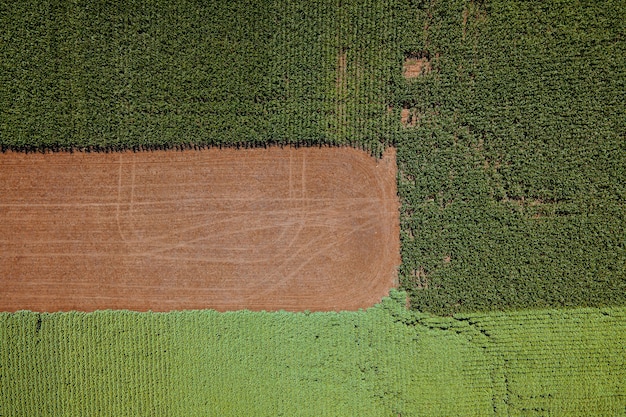 Champs agricoles avec des cultures de maïs et de blé vue aérienne figures géométriques formées de différents cu...