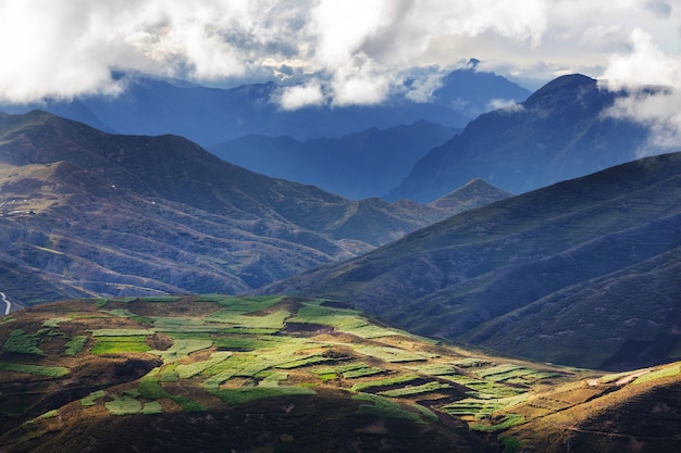 Champs agricoles dans les montagnes verdoyantes du Pérou, Amérique du Sud