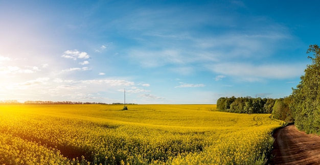 Champs agricoles fertiles pour semer et faire pousser des cultures