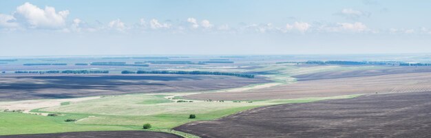 Champs agricoles vue panoramique sur le printemps campagne