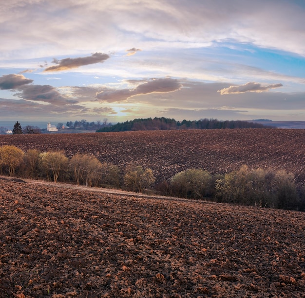 Photo champs arables et de croissance et campagne du matin de printemps