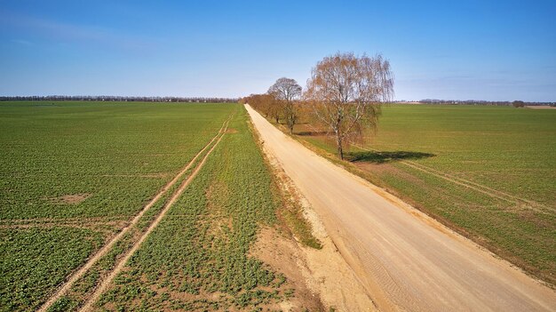 Champs arables vert printemps chemin de terre rural allée d'érable vue aérienne belle scène de campagne ensoleillée matin d'avril