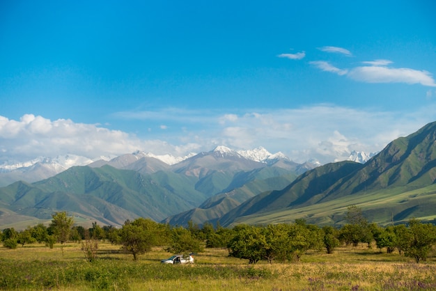 Champs et arbres sur fond de montagnes