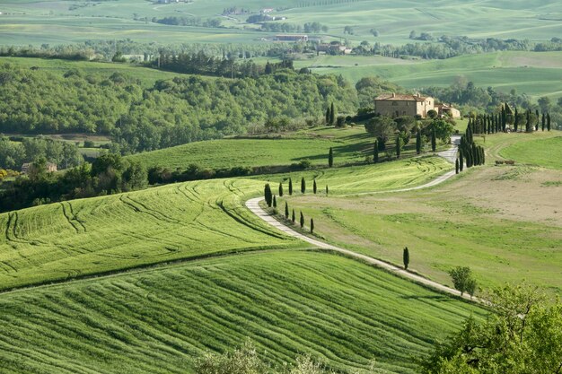 Champs de colline de terres agricoles de Toscane en Italie