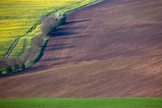 Champs colorés géométriques paysage campagne collines fond