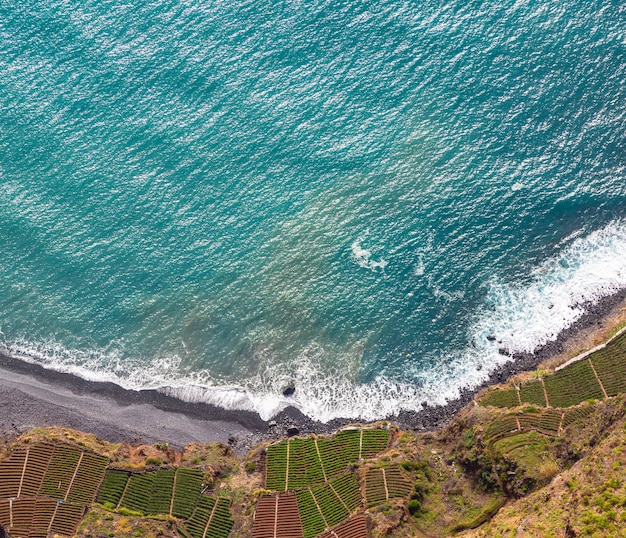 Champs sur la côte sud de l'île de Madère