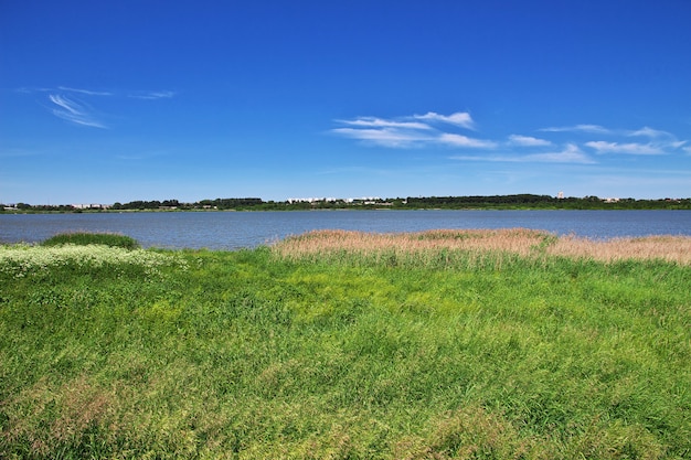 Champs et forêts dans le pays biélorusse