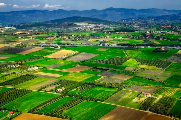 Un Champs De La Grèce. Vue D'avion