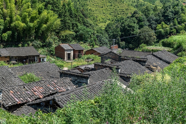 Champs et maisons à la campagne sous le ciel bleu