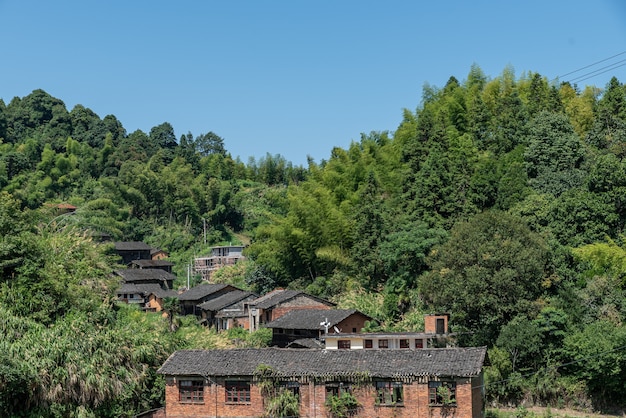 Champs et maisons à la campagne sous le ciel bleu