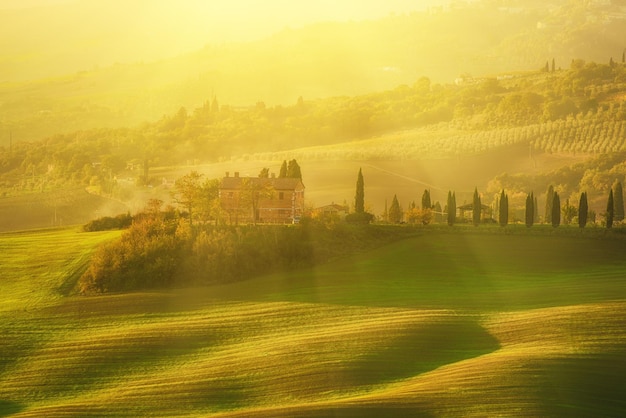 Champs ondulés en Toscane