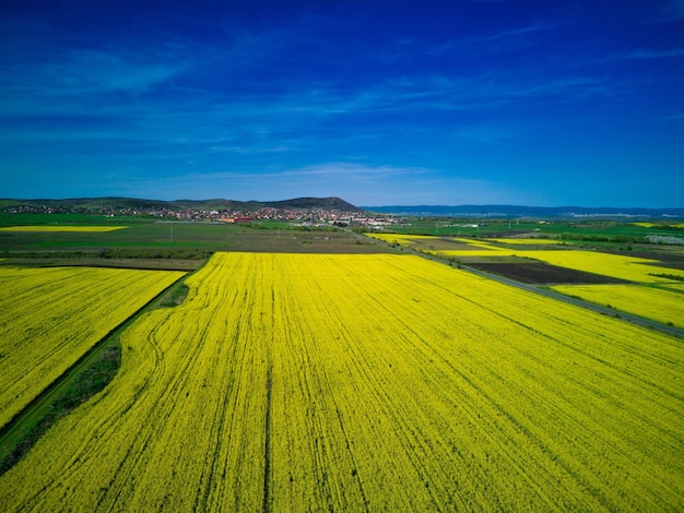 Champs avec une plante dans une vallée dans le contexte du village et du ciel en Bulgarie