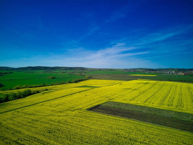 Champs avec une plante dans une vallée dans le contexte du village et du ciel en Bulgarie