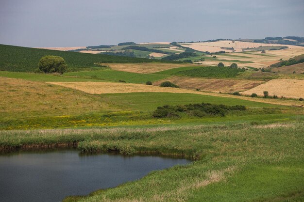 Champs et prairies ruraux de Roumanie