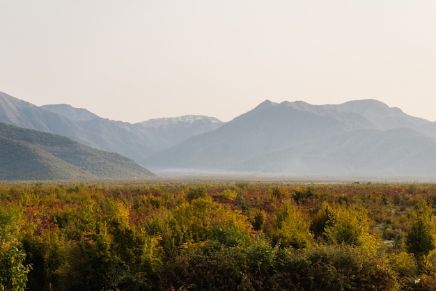 Champs et prairies verts sans limites, hautes montagnes majestueuses par temps chaud d'été