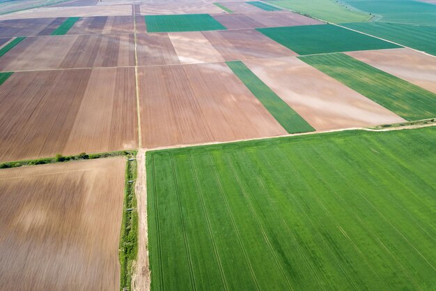 Champs de printemps. Vue aérienne des champs agricoles.