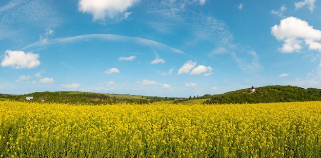 Les champs de rape jaune au printemps voient le ciel bleu avec des nuages au soleil panorama Pyatnichany structure de défense de la tour du 15e siècle sur le versant lointain de la colline