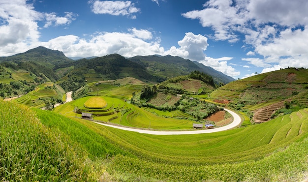 Des champs de riz au nord-ouest du Vietnam