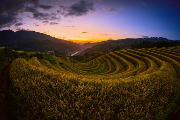 Champs de riz sur terrasse avec pavillon en bois au coucher du soleil à Mu Cang Chai