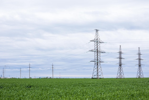 Champs de soja avec des feuilles vertes fraîches au printemps avec un fond bleu en Thaïlande Lignes électriques à haute tension de poteau qui traversent les cultures agricoles Poteaux électriques à haute tension et champs de haricots