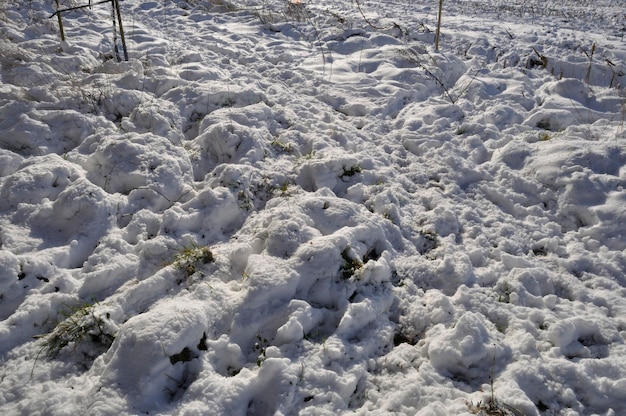 Champs sous la neige en Bretagne