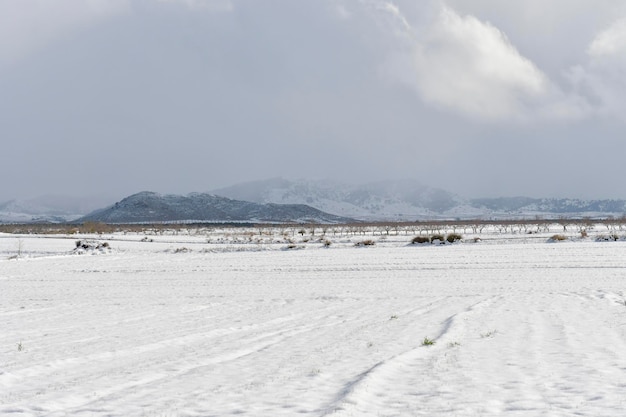 Champs de steppe enneigée à Grenade