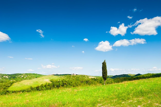 Champs verts et ciel bleu. Beau paysage de Toscane, Italie