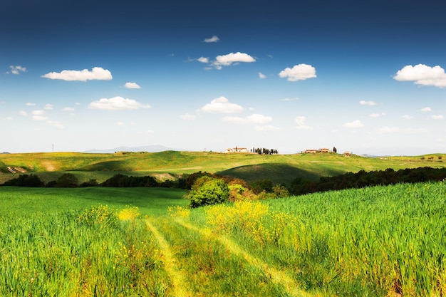 Photo champs verts et ciel bleu en toscane, italie. paysage d'été