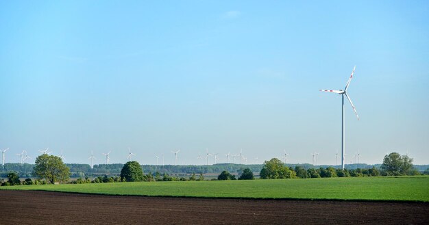 Champs verts avec éoliennes, ciel bleu clair au-dessus