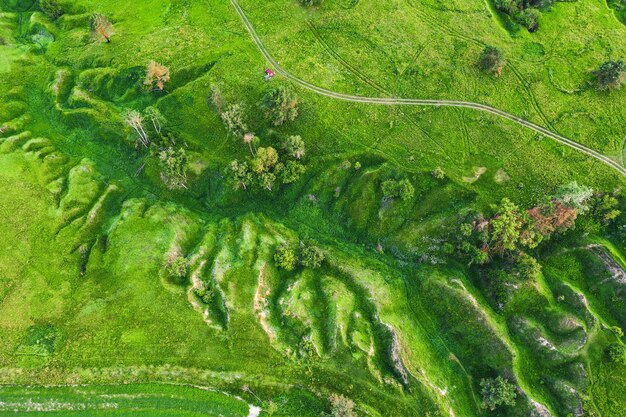 Champs verts d'en haut