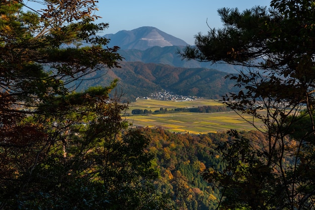 Champs verts japonais, village rural sur les montagnes d'automne, ciel bleu.