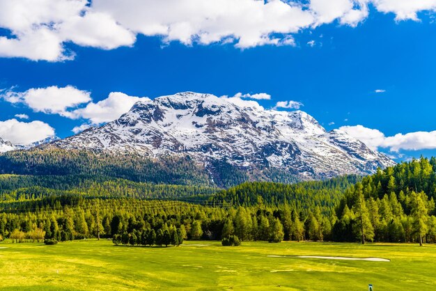 Champs verts et montagnes des Alpes couvertes de forêt Samedan M