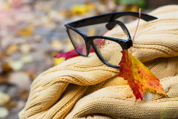 Chandail et lunettes de lecture avec feuille d'automne portant sur un banc photo de haute qualité