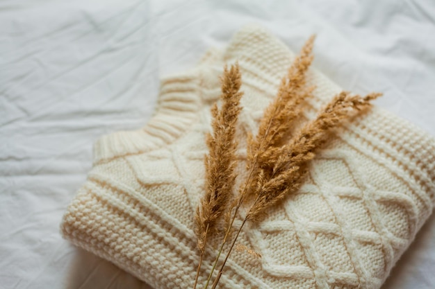 Chandails confortables tricotés dans des tons marron sur fond blanc Pampasgrass House Winter Cloth