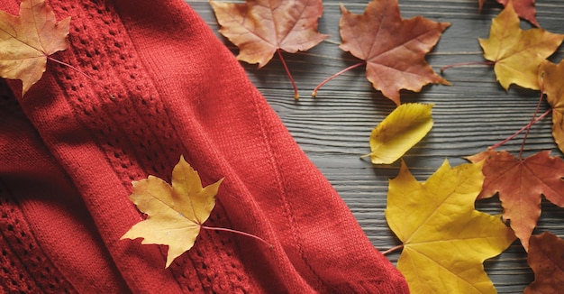 Chandails et feuilles d'automne en tricot