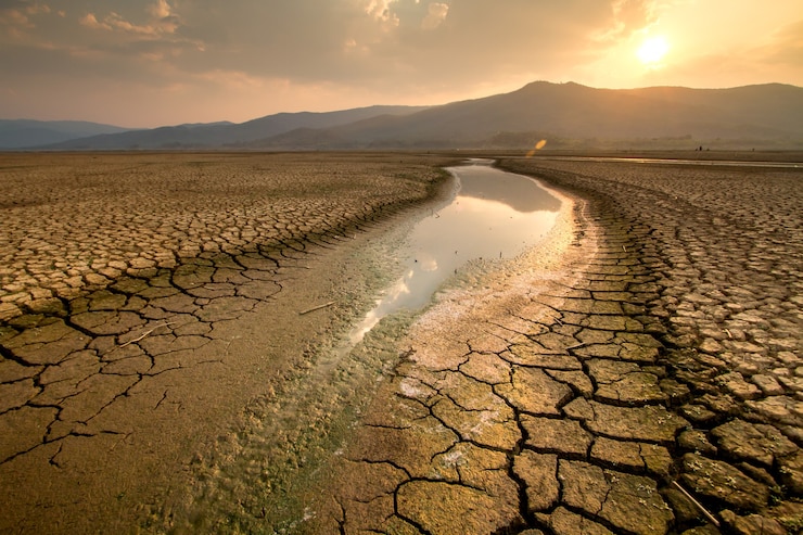 Photo changement climatique assèchement de la rivière en été