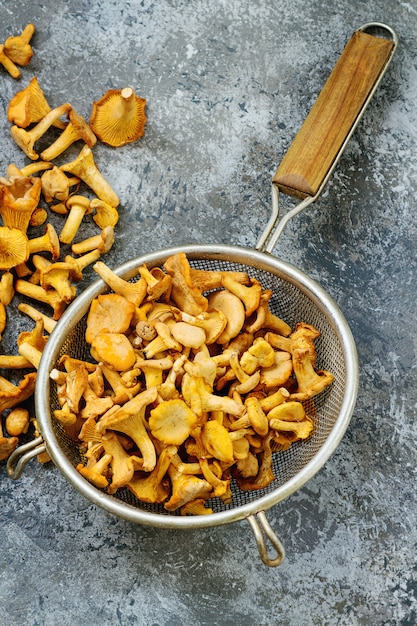 Chanterelle aux champignons des bois